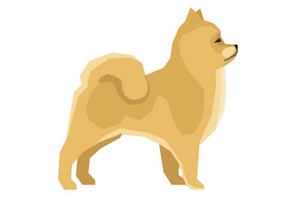 Capturing Canine Charm: The Pomeranian Dog Color Icon