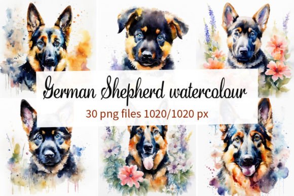 Capturing Loyalty in Paint: The German Shepherd Watercolour Typeface